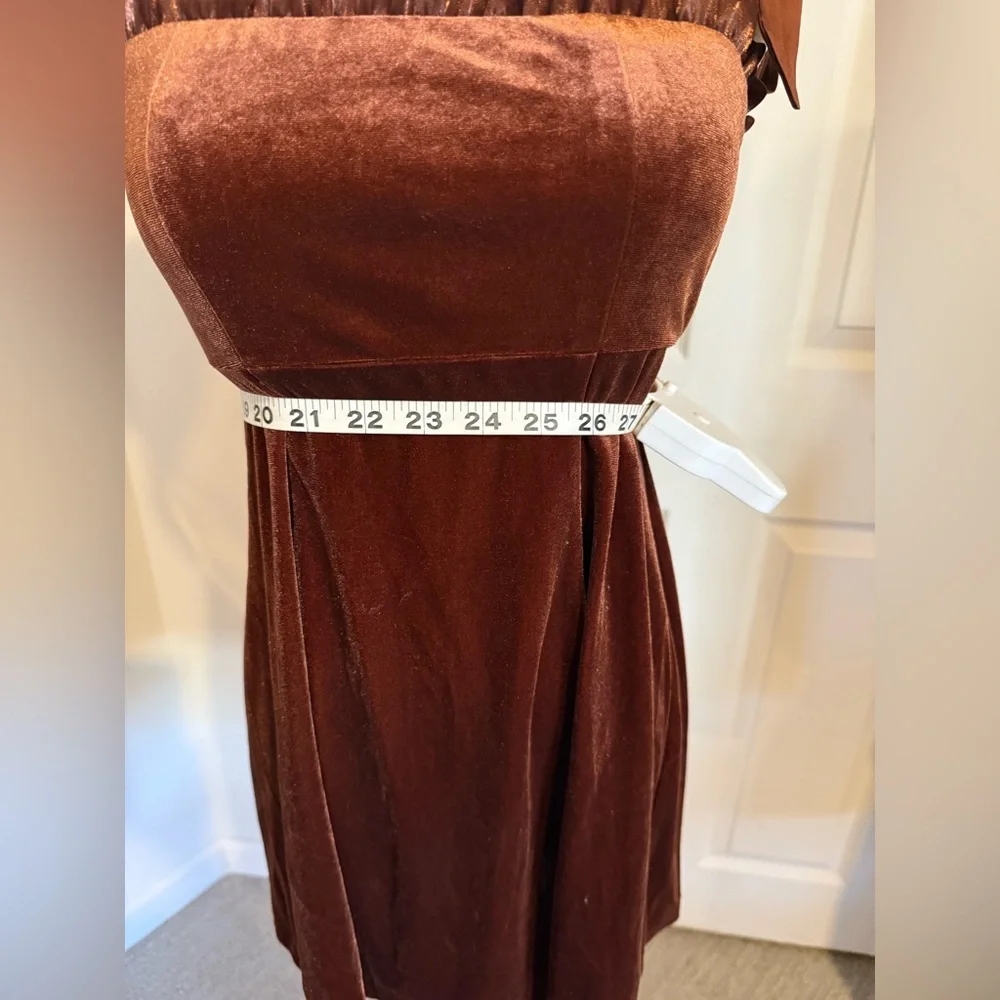 Danielle Bernstein dark burnt orange velvet mini dress - NWT - S - Picture 11 of 15